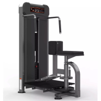 Косые мышцы живота Realleader M3-1021