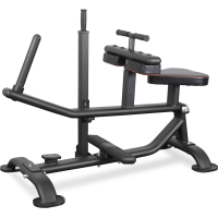 Голень сидя BRONZE GYM PL-1719